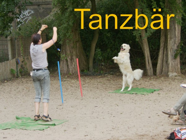 Tanzbr